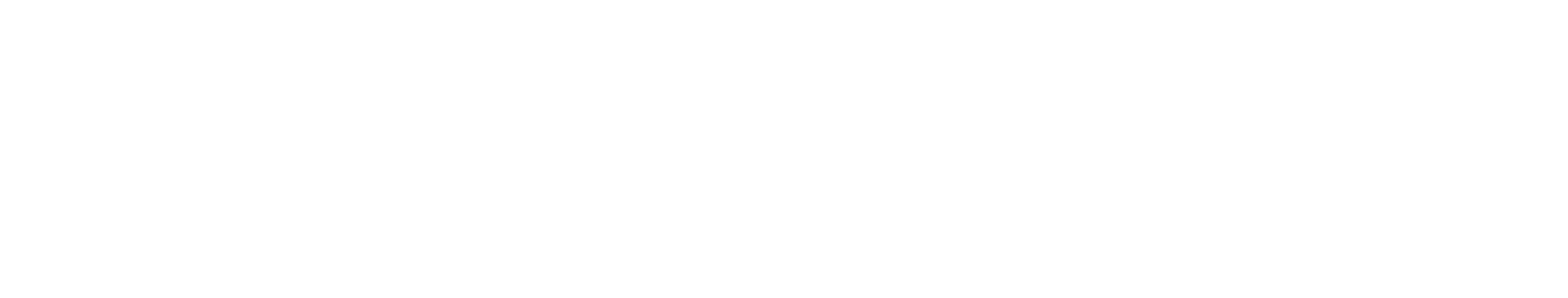 The Experience Company full wordmark in white