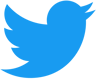 twitter Icon